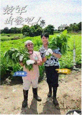 全民挑战王综艺在线观看